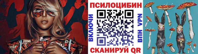 Галлюциногенные грибы Psilocybe  ссылка на мегу tor  Снежинск 